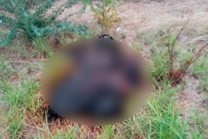 Descubren cad&aacute;ver de un hombre en estado de descomposici&oacute;n en Costa Rica, Culiac&aacute;n