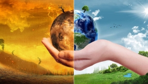 Calentamiento global caus&oacute; fen&oacute;menos sin precedente este a&ntilde;o