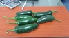 Auguran productores un a&ntilde;o catastr&oacute;fico en la producci&oacute;n de Chile