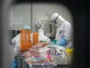 En estudios del coronavirus logran identificar la existencia de dos tipos de Covid-19