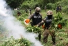 C&aacute;rteles de Jalisco y Sinaloa, los m&aacute;s peligrosos del mundo