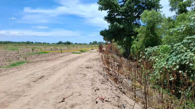 Encuentran ejecutada a una persona ´levantada´ en la comunidad de Bachoco, Navolato