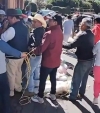 Habitantes del municipio El Oro, Estado de M&eacute;xico piden destituci&oacute;n de la alcaldesa morenista
