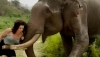 Pelean por una fruta: un elefante empuja y aplasta a una mujer que se burla de él