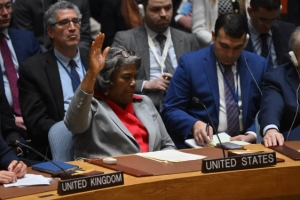 Por primera vez el Consejo de Seguridad de la ONU pide 
