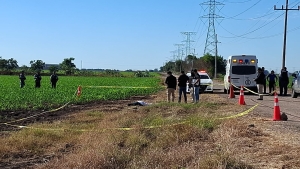 RESUMEN: 5 personas asesinadas, 2 'levantadas' y 9 autos robados en Sinaloa, el saldo rojo del 11 Diciembre 2025