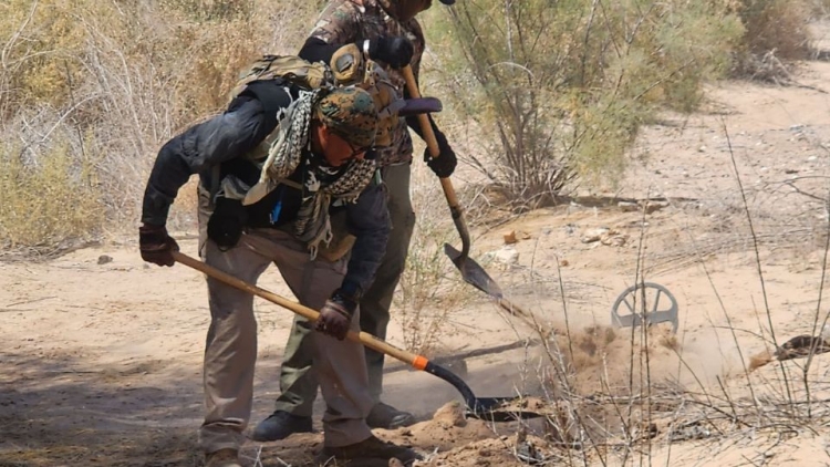 Encuentran catorce cuerpos en fosas clandestinas del Valle de Mexicali