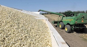 Inicia este lunes la compra de 500 mil toneladas de ma&iacute;z por Gobierno del Estado
