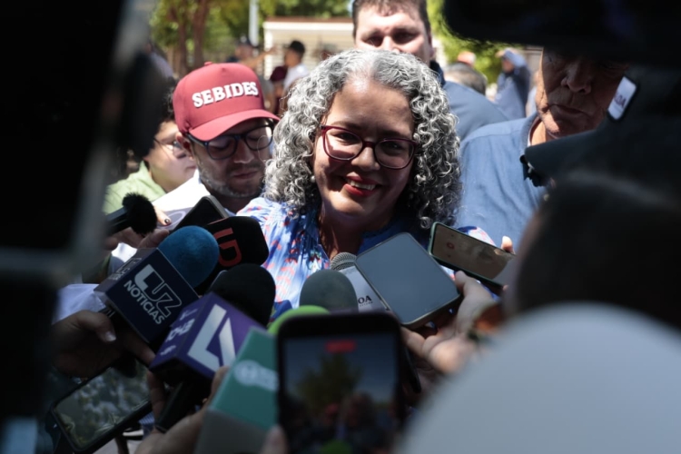 Avanza Plan Integral en temas de Seguridad y Gobernabilidad; Dom&iacute;nguez Nava lo dar&aacute; a conocer en los pr&oacute;ximos d&iacute;as