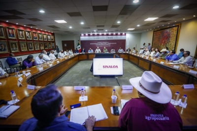 Anuncian Bases de Comercializaci&oacute;n de ma&iacute;z y trigo panificable y cristalino