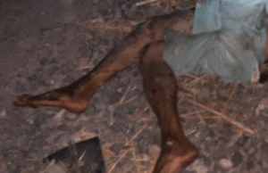 Abandonan el cuerpo de un hombre asesinado en Baila, Culiac&aacute;n