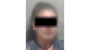 Mujer fue detenida presuntamente por robo de dos paquetes de pa&ntilde;ales en el &aacute;rea de beb&eacute;s de un centro comercial