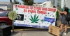 Instalan tianguis de mariguana afuera de C&aacute;mara de Diputados