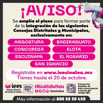 Ampl&iacute;a IEES en 7 municipios convocatoria para integrar consejos distritales y municipales electorales
