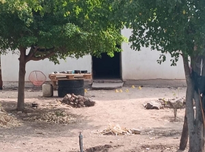 Asesinan a tres hombres, entre ellos t&iacute;o y sobrino, en Mocorito