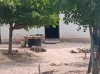 Asesinan a tres hombres, entre ellos t&iacute;o y sobrino, en Mocorito