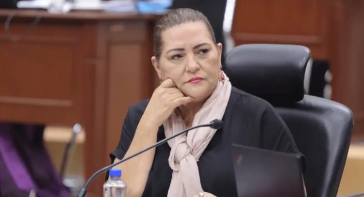 Taddei advierte que el INE carece de facultades y herramientas para detectar v&iacute;nculos de candidatos con el crimen organizado