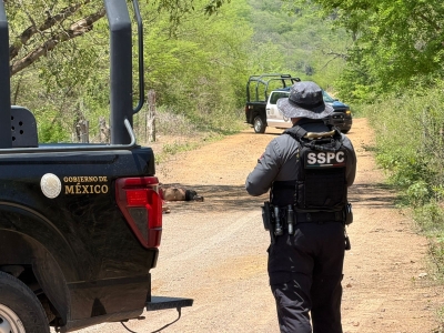 Localizan a 3 hombres asesinados en la Sindicatura de Imala, al Norte de Culiac&aacute;n