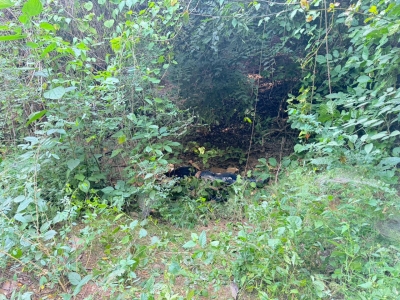 Seis civiles mueren en enfrentamiento con el Ej&eacute;rcito en Tepuche, Culiac&aacute;n