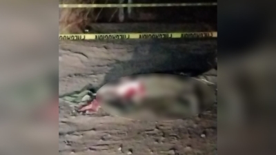Fiscal de Sinaloa confirma el triple homicidio en San Ignacio, cerca de 'Los Chinacates'; los mataron a balazos