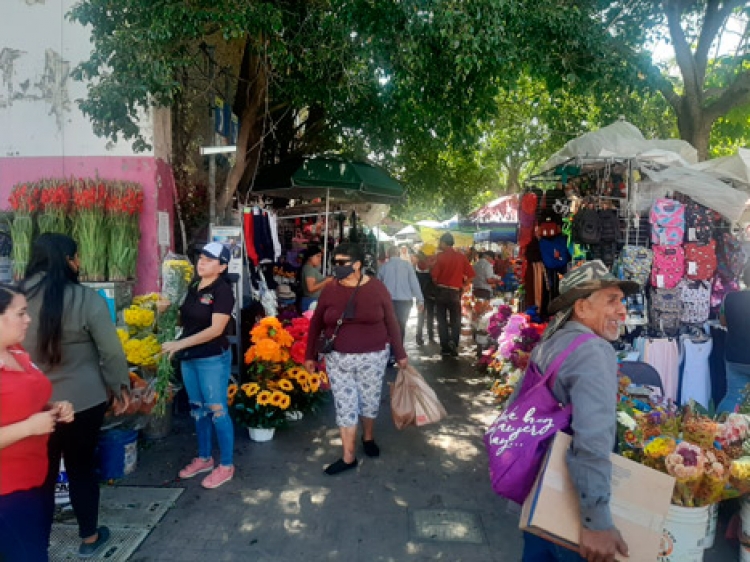 Golondrinos otra vez &ldquo;nos dan en la torre&rdquo;: Floristas