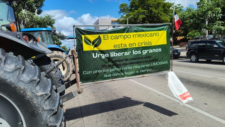 Prev&eacute;n reducci&oacute;n en siembra de ma&iacute;z por crisis financiera en el campo: AARC