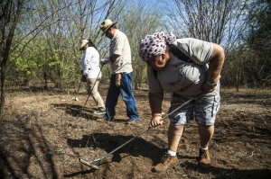 Sinaloa entre los 5 estados, que concentran el 52.6% de los desaparecidos en el pa&iacute;s